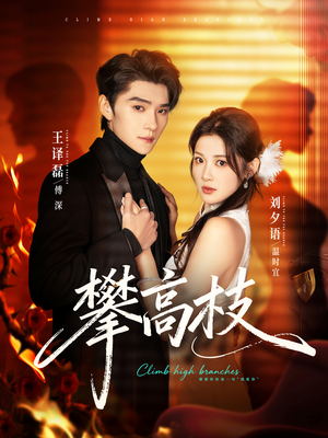 攀高枝(70集) 攀高枝(70集)短剧也太好看了