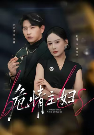 危情主妇(60集) 危情主妇(60集)去哪里看