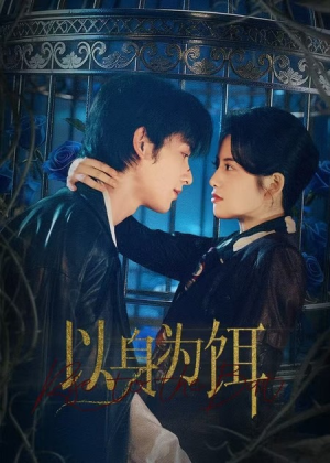 以身为饵（61集）在线播放