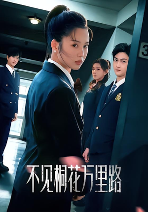 不见桐花万里路（71集）最新上映的短剧