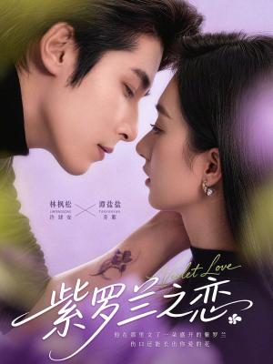 紫罗兰之恋(82集) 紫罗兰之恋(82集)哪个网站可以看