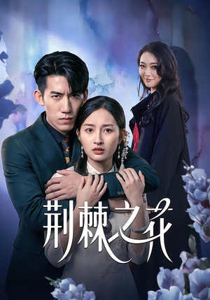 荆棘之花（100集）让你一口气看完