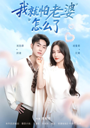 我就怕老婆怎么了（88集）精彩短剧上线