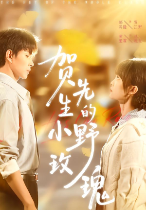 贺先生的小野玫瑰(99集) 贺先生的小野玫瑰(99集)太好看了短剧