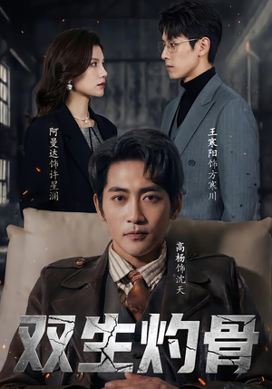 双生灼骨(60集) 双生灼骨(60集)免费全集短剧