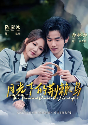 月光下的荆棘鸟（80集）短剧精彩不断