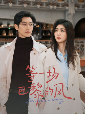 等一场巴黎的风(60集) 等一场巴黎的风(60集)流畅播放免费看
