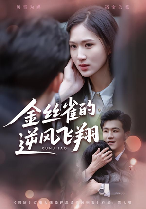 金丝雀的逆风飞翔(80集) 金丝雀的逆风飞翔(80集)全集免费观看