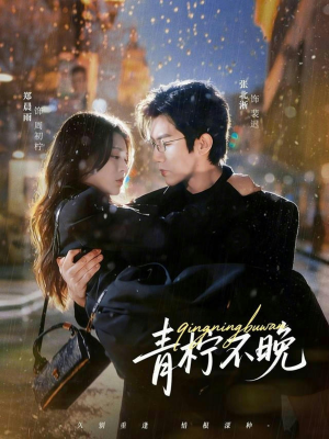 青柠不晚(78集) 青柠不晚(78集)在线看到大结局