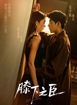 膝下之臣(56集) 膝下之臣(56集)不用花钱看全剧