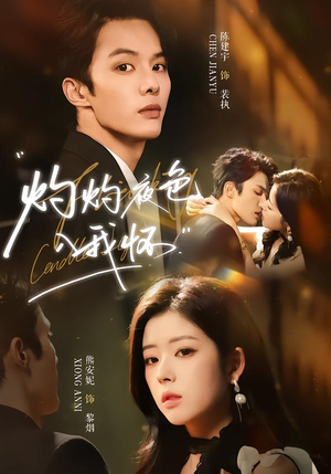 灼灼夜色入我怀(60集) 灼灼夜色入我怀(60集)免费版