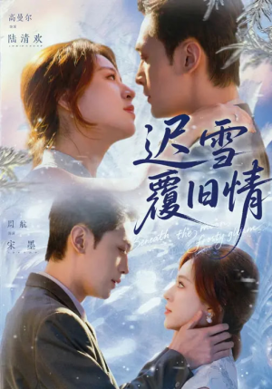 迟雪覆旧情（62集）看过的人都说好