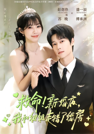 救命!新婚夜,我和姐姐走错了婚房(58集) 救命!新婚夜,我和姐姐走错了婚房(58集)这部短剧太好看