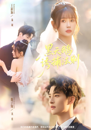 黑天鹅诱捕法册(80集) 黑天鹅诱捕法册(80集)热门短剧分享