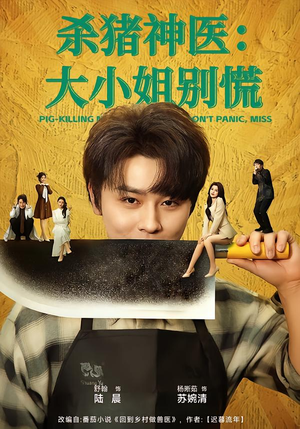 杀猪神医,大小姐别慌(80集) 杀猪神医,大小姐别慌(80集)男频短剧推荐