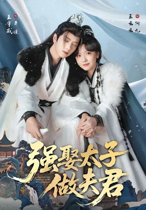 强娶太子做夫君(67集) 强娶太子做夫君(67集)怎么看全集