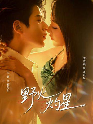 野火灼星(56集) 野火灼星(56集)高质量短剧推荐