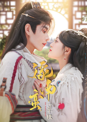 嫁南蛮，立千秋（79集）剧好看短剧推荐