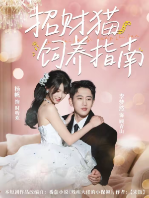 招财猫饲养指南（92集）精彩的网络短剧
