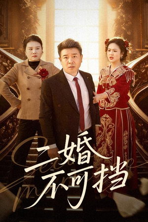 二婚不可挡(36集) 二婚不可挡(36集)夸克在线观看