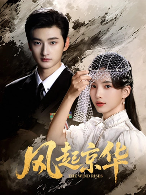 风Q京华（60集）全集