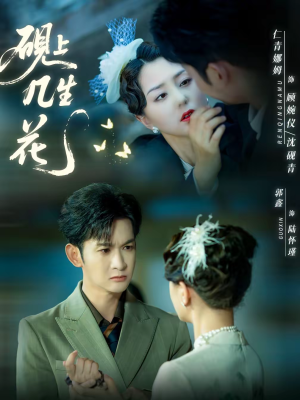 砚上几生花(62集) 砚上几生花(62集)精彩短剧随心推