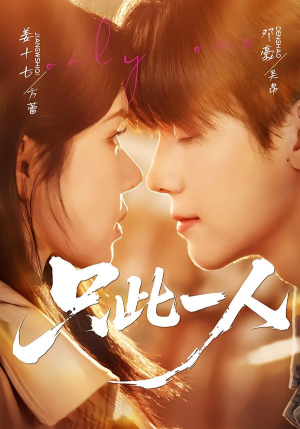 只此一人(58集) 只此一人(58集)剧情简介