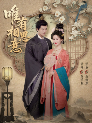 唯有相思意(100集) 唯有相思意(100集)全季一次看完