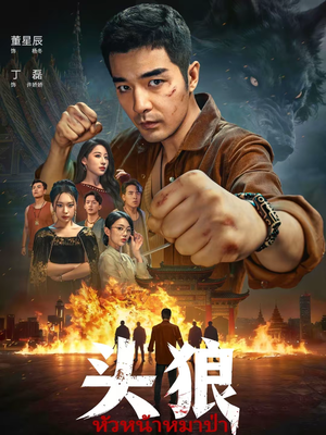 头狼(77集) 头狼(77集)短剧视频分享