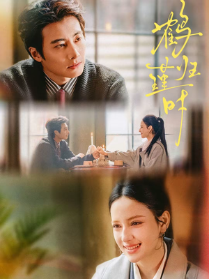 鹤归瑾时（81集）红果短剧看全集