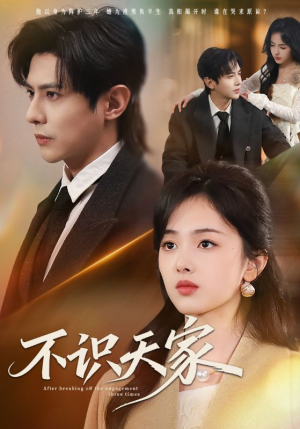不识天家（69集）好看短剧抢先看