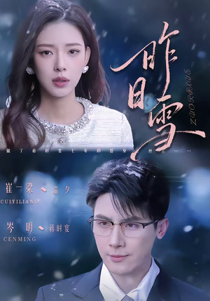 昨日雪(70集) 昨日雪(70集)让你一口气看完