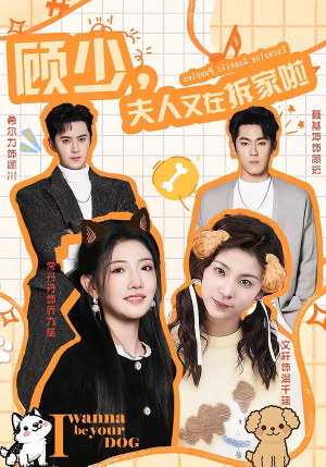 顾少，夫人又在拆家啦（78集）红果免费短剧