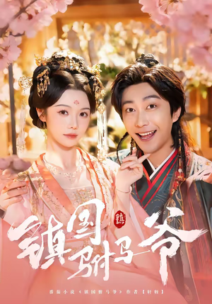 镇国驸马爷（92集）番茄短剧看全集