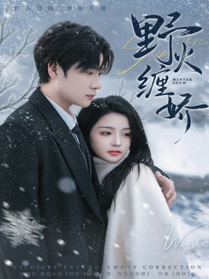 野火缠娇（66集）热门短剧推荐。