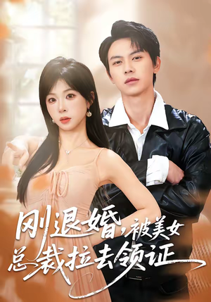 刚退婚，被美女总裁拉去领证（81集）去哪里看