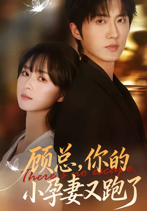 顾总,你的小孕妻又跑了(47集) 顾总,你的小孕妻又跑了(47集)热门短剧免费看