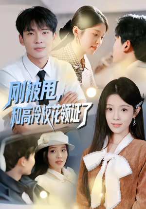 刚被甩，和高冷校花领证了（67集）短剧追到爽