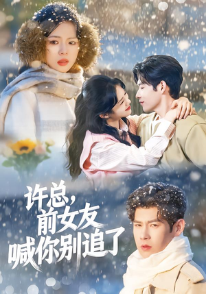 许总，前女友喊你别追了（80集）最新热剧免费看