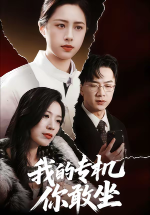 我的专机你敢坐（62集）精彩短剧来袭