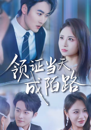 领证当天成陌路（39集）更新时间