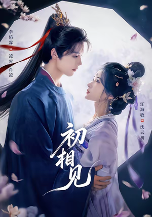 初相见（76集）直接看到大结局