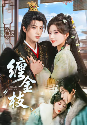 缠金枝（69集）直接追到结尾