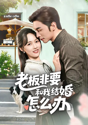 老板非要和我结婚怎么办（50集）短剧抢先看全集