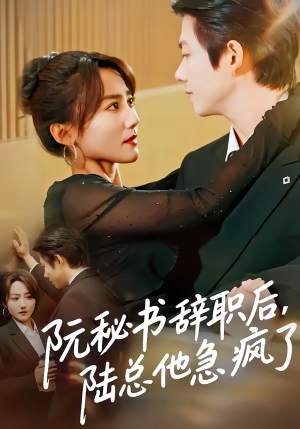 阮秘书辞职后，陆总他急疯了（80集）解说文案