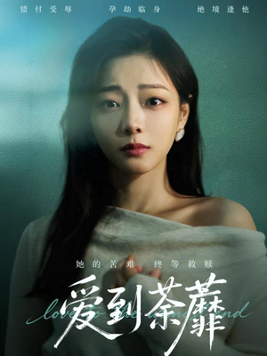 爱到荼蘼（63集）独家短剧免费看
