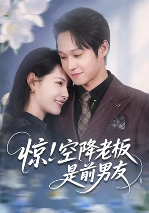 惊！空降老板是前男友（65集）精彩短剧天天看