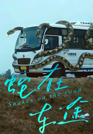 蛇在车途（34集）网盘在线观看