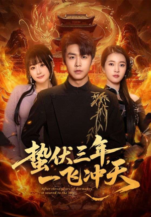 蛰伏三年，一飞冲天（60集）哪个短剧网能看