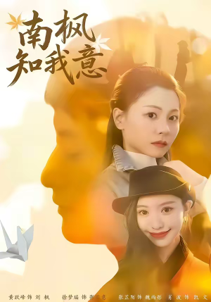 南枫知我意（41集）集免费看短剧